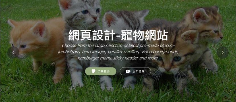 網站架設-活潑風四