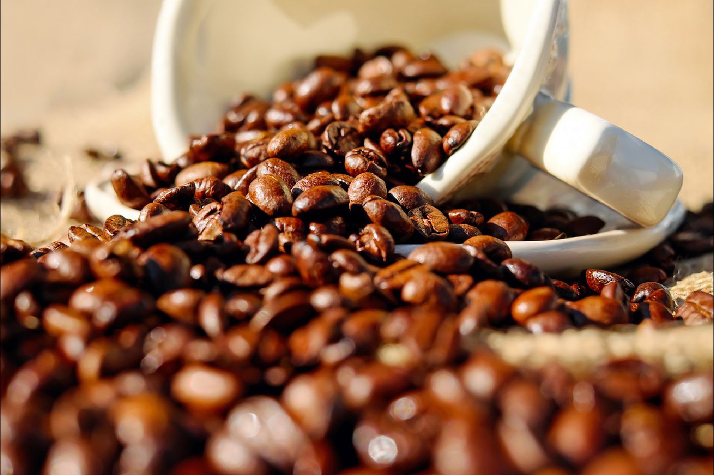 網站架設-cafe網站
